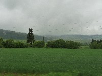 p1100463.jpg