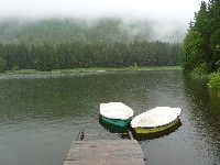 p1100473.jpg