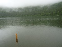 p1100476.jpg