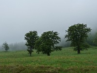 p1100484.jpg