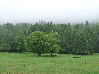 p1100485.jpg