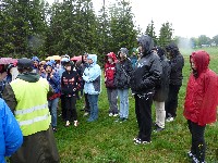 p1100493.jpg