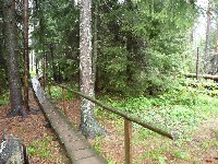 p1100510.jpg