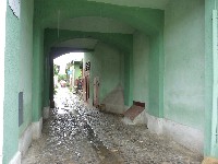 p1100521.jpg