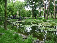p1100536.jpg