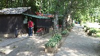 100_0003.jpg