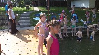 100_0012.jpg