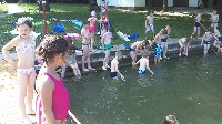 100_0013.jpg