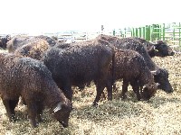 dscf1902.jpg