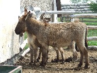 dscf1903.jpg