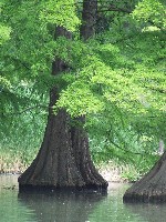 dscf1999.jpg