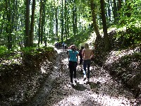 p1000041.jpg