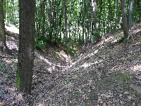 p1000045.jpg