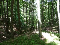 p1000048.jpg