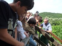 p1000061.jpg
