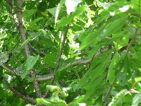 p1000072.jpg