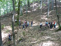 p1000084.jpg