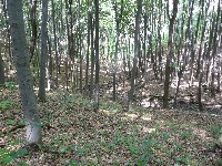 p1000086.jpg