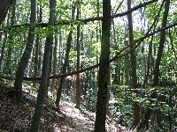 p1000088.jpg
