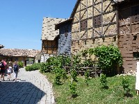 p1000131.jpg