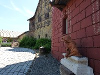 p1000138.jpg
