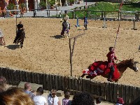 p1000188.jpg