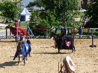 p1000190.jpg