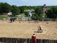 p1000194.jpg