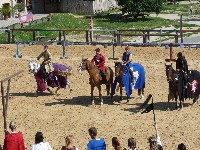 p1000203.jpg