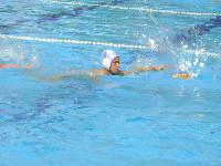 dsc08840.jpg