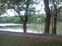 snc00729.jpg