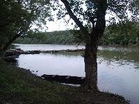 snc00730.jpg