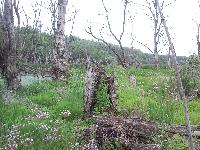 snc00744.jpg