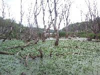 snc00750.jpg