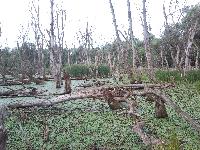 snc00753.jpg