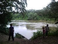snc00781.jpg