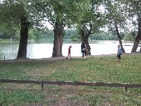 snc00804.jpg