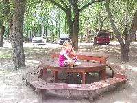snc00811.jpg