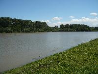 p1230366.jpg