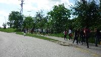 p1140747.jpg