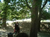 dscf0043.jpg