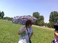 f_nyk_p0535.jpg