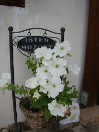 p34.jpg