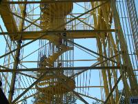 p75.jpg