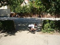 p1100730.jpg