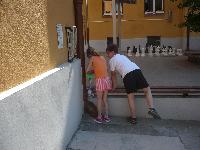 p1100732.jpg