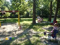 p1100789.jpg
