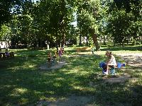 p1100803.jpg