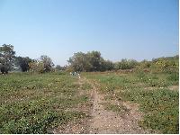 dsc01544.jpg