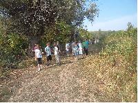 dsc01559.jpg